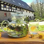The Oak - Freedom For The Soul Apartment *