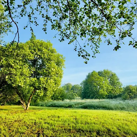 The Oak - Freedom For The Soul Apartament